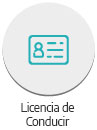 Licencia de Conducir